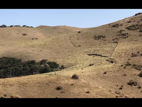 The Drought In Northland New Zealand (News Parody)