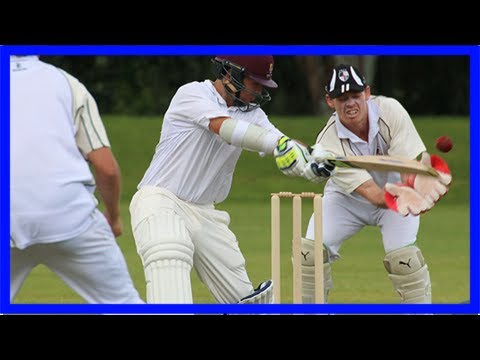 Cricketers fall short against northland – the bay's news first