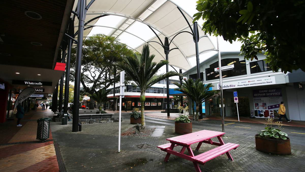 More anti-social behaviour in Whangārei CBD, including fighting, dishonesty