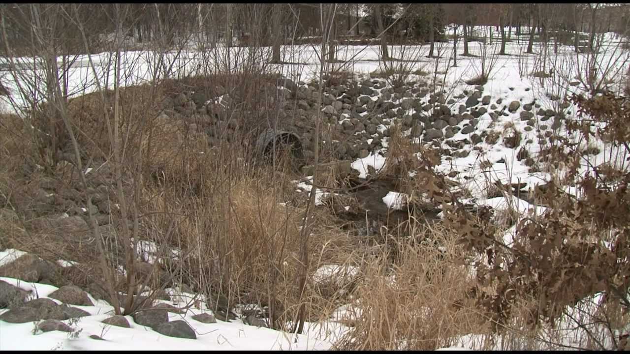 Cleanup at Northland Arboretum – Lakeland News at Ten – March 7, 2012.m4v