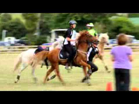 Horse demonstrations in Northland – by Northern News