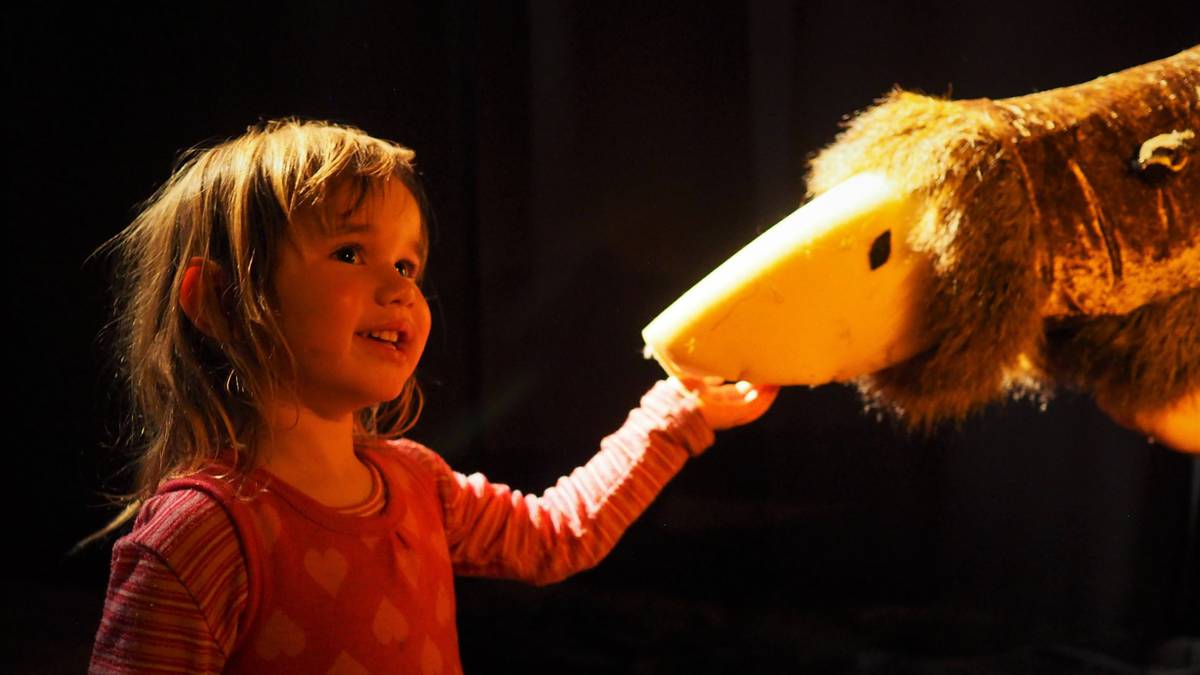 Photos: Morph Festival brings puppets alive in Kerikeri