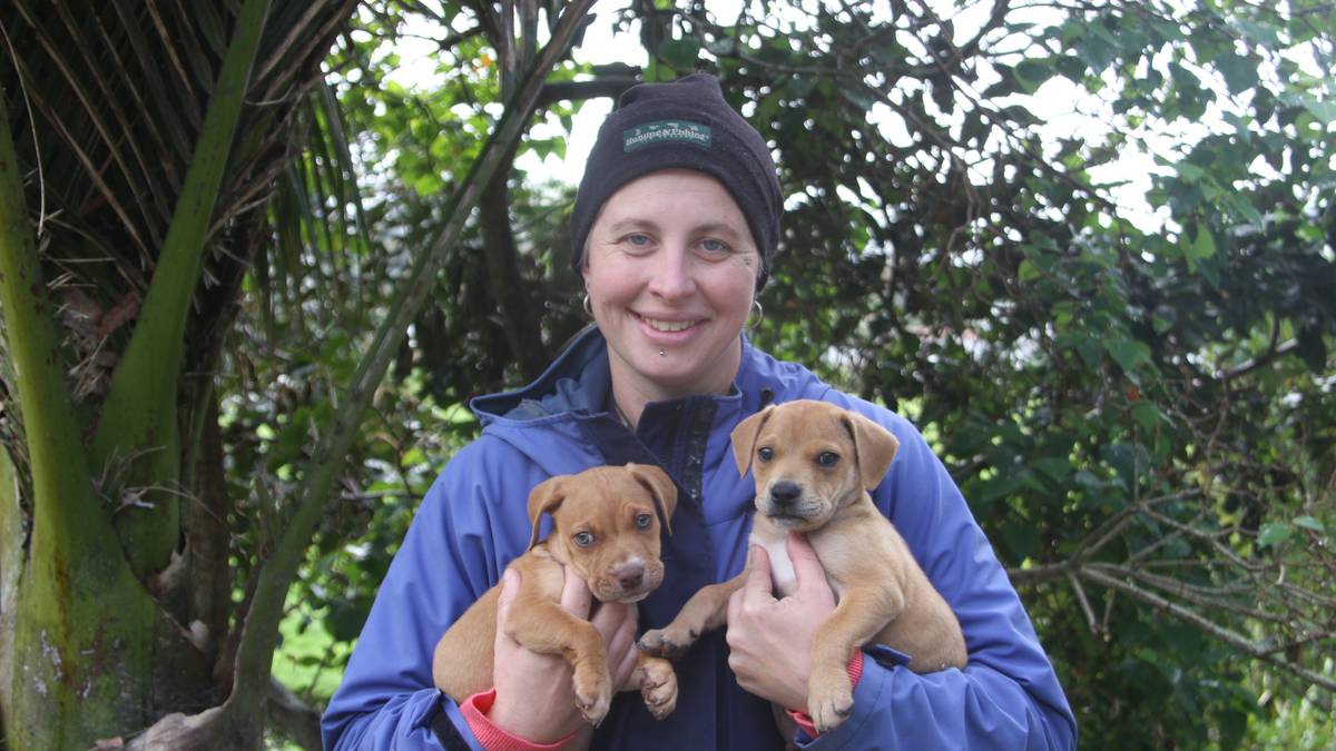 Northland pet owners struggle with upkeep of animals as cost of living crisis bites