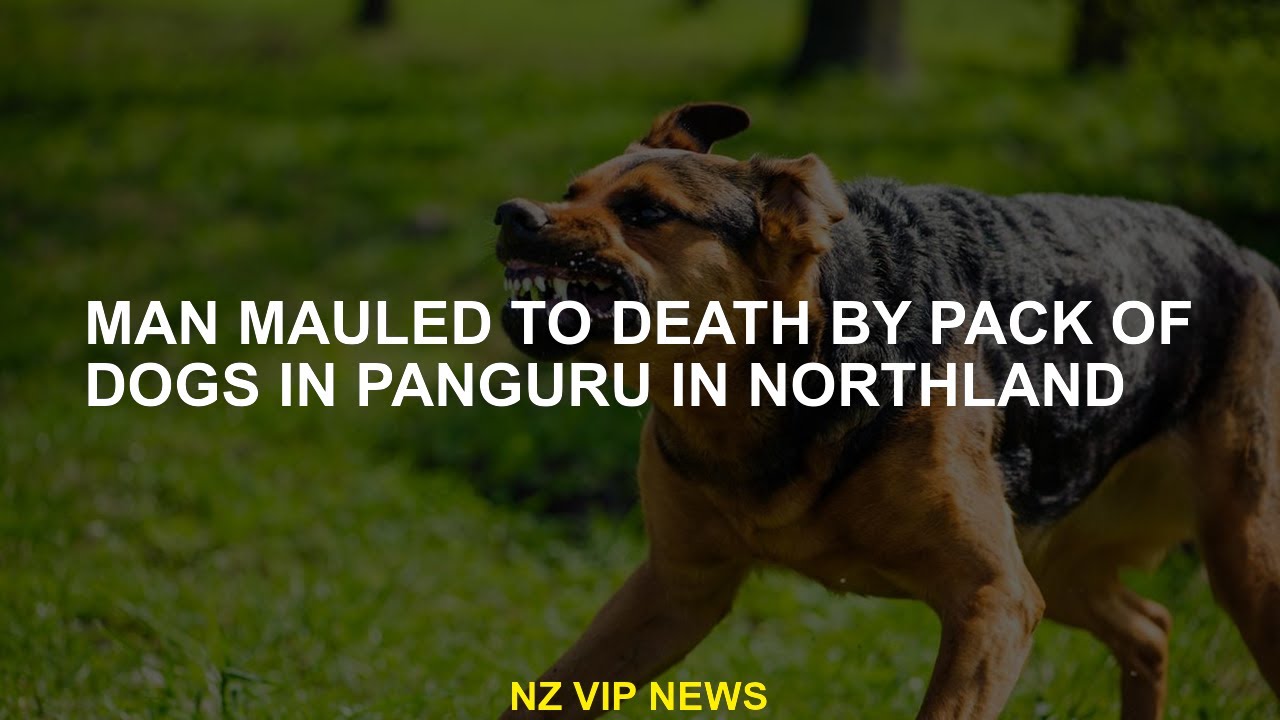 Mutilated man until  by a herd of dogs in Panguru in Northland