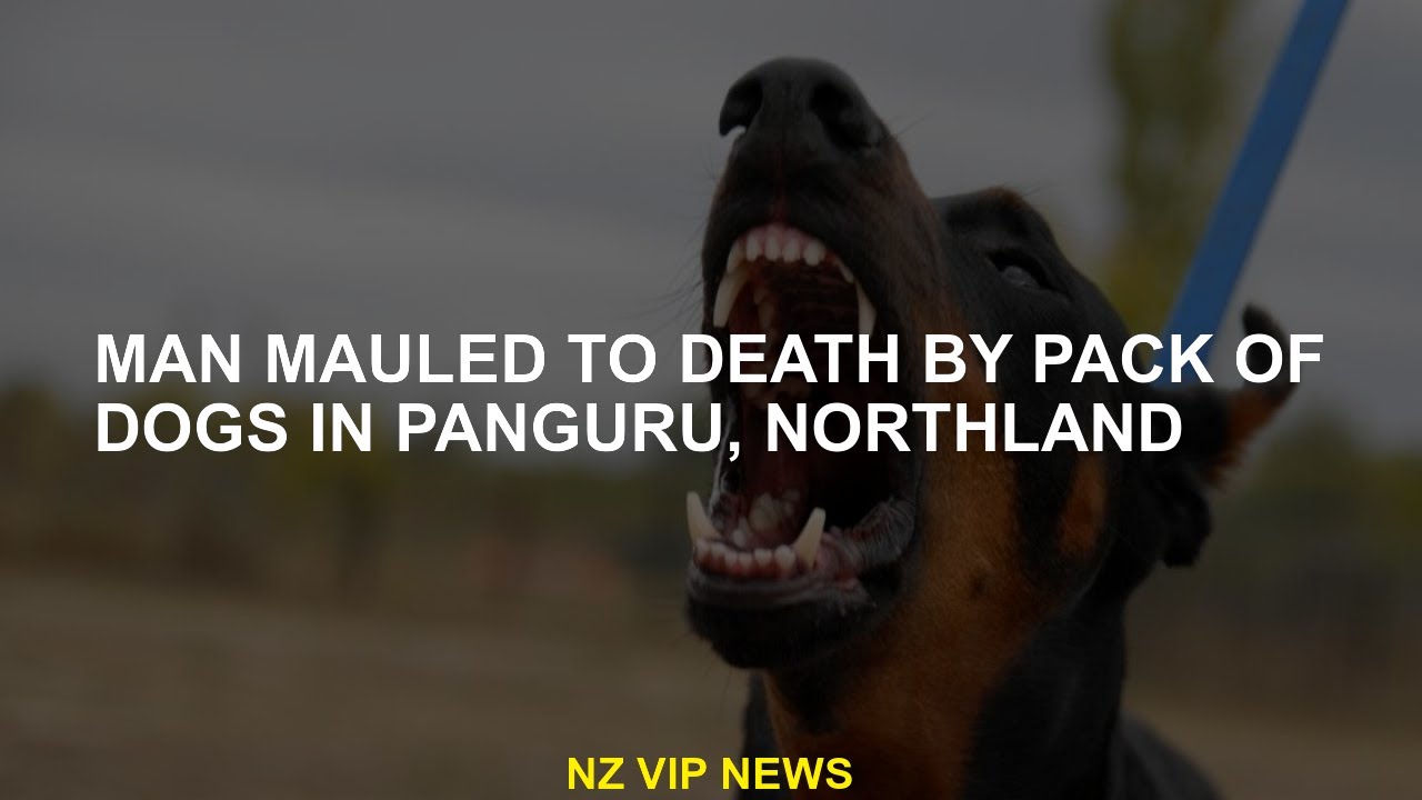 Mutilated man until  by a herd of dogs in Panguru, Northland