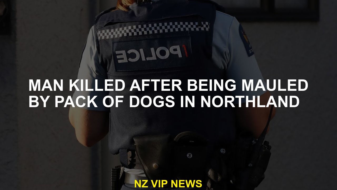 man after being mutilated by a dog package in Northland