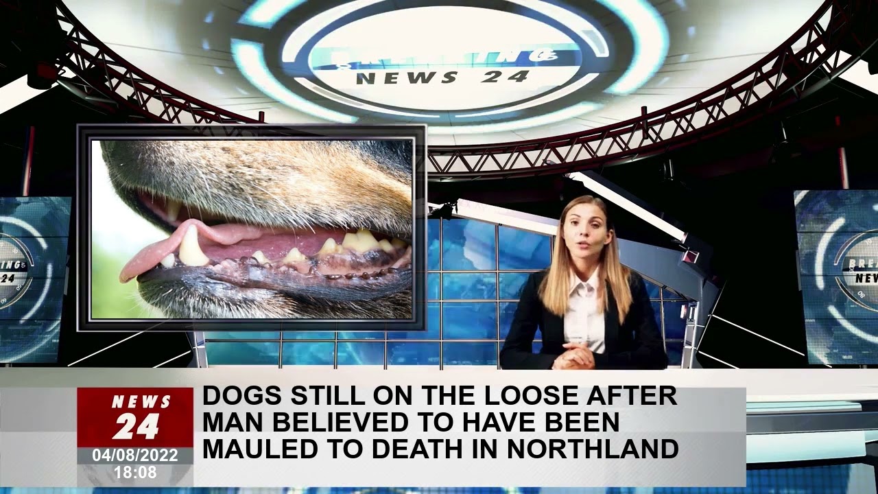 Dogs still loose after the man believed he was mutilated in Northland