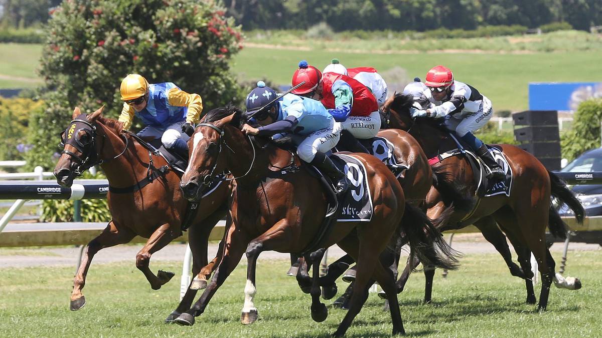 Ruakākā Races: The High Priestess returns after injury break on Saturday