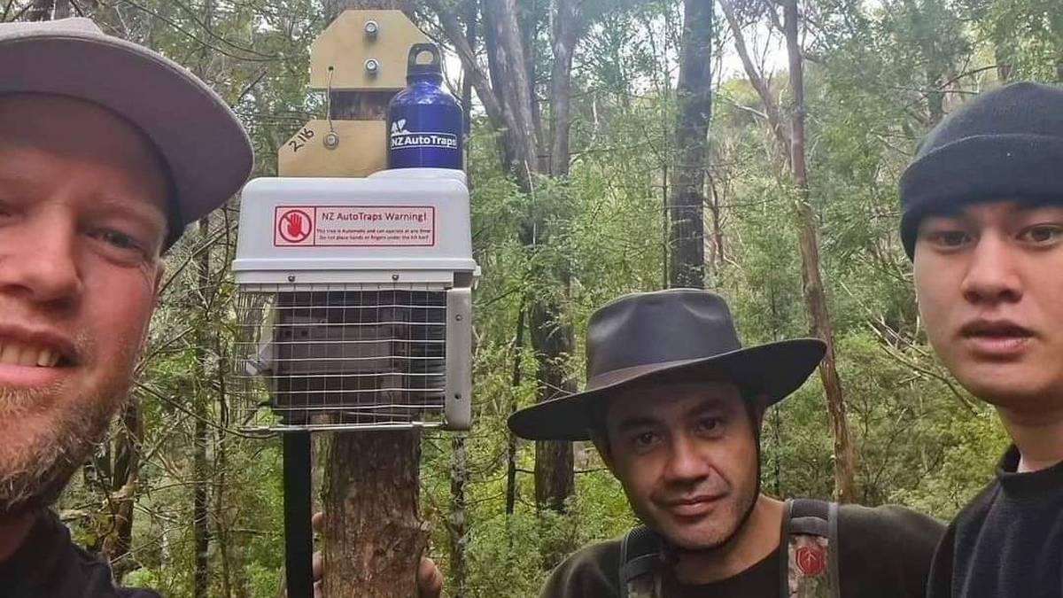 Northland forest to benefit from ‘gamechanger’ self-baiting, self-setting traps