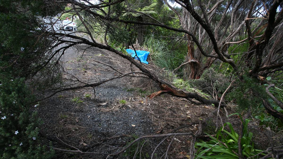 Young man dies in Tutukākā crash