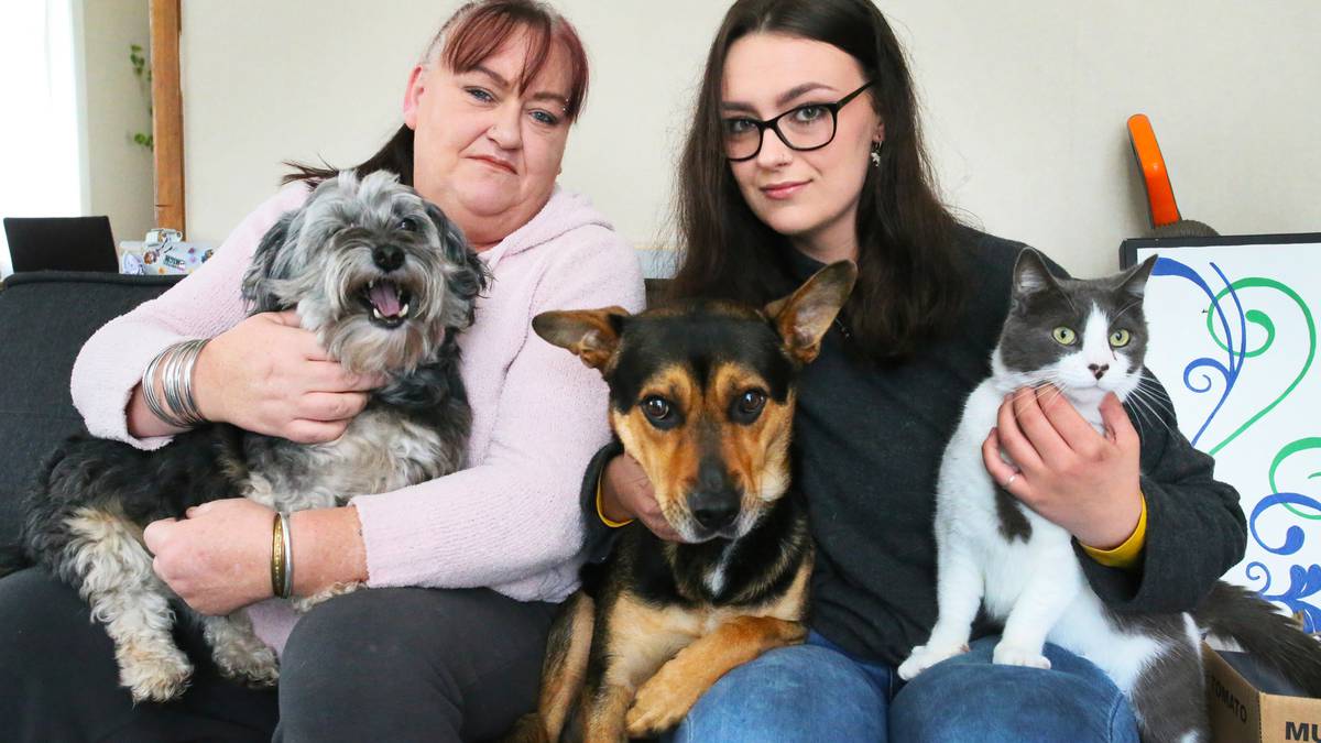 No pets allowed: Northland renters have to give up pets or go homeless