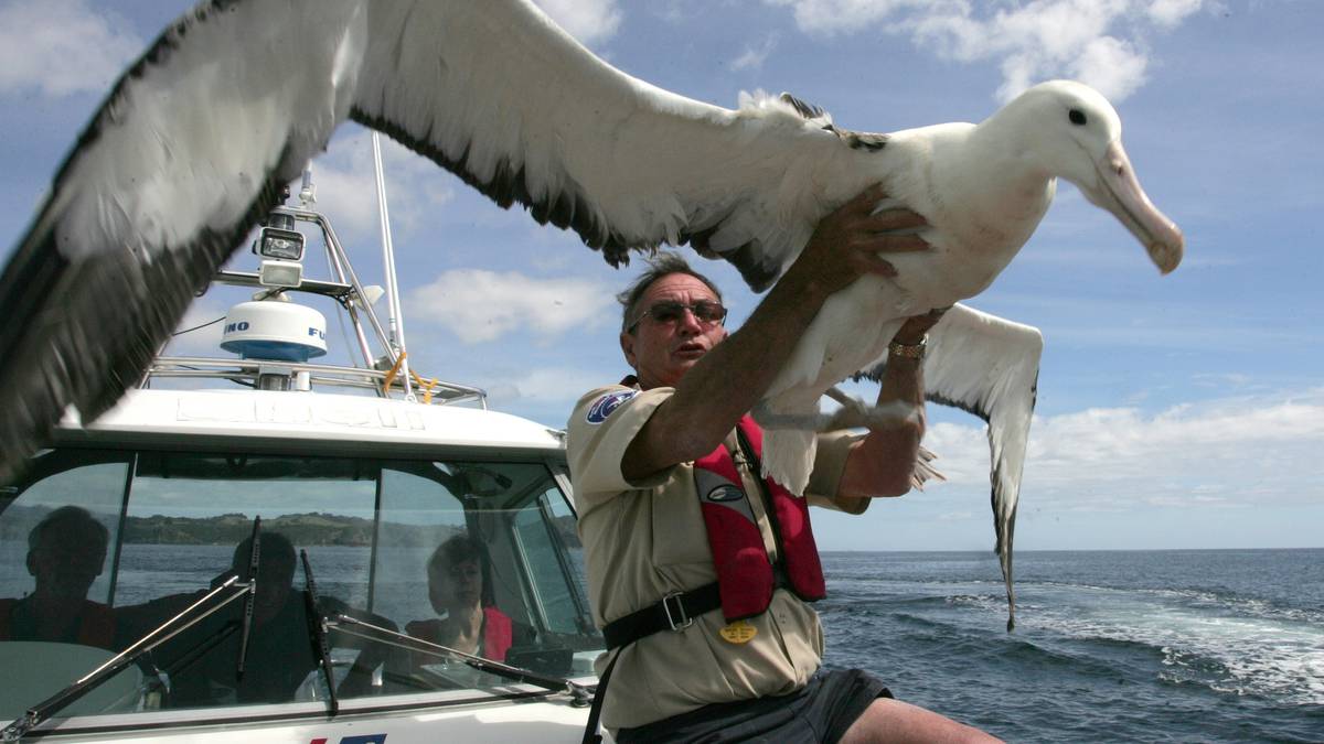 Northland bird conservationist Robert Webb to be celebrated in sculpture