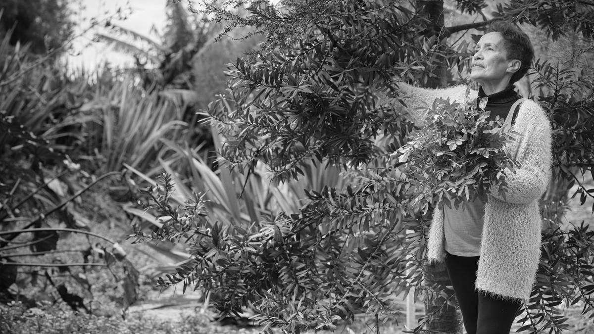 Whangārei Heads kaumātua photo exhibition becomes book