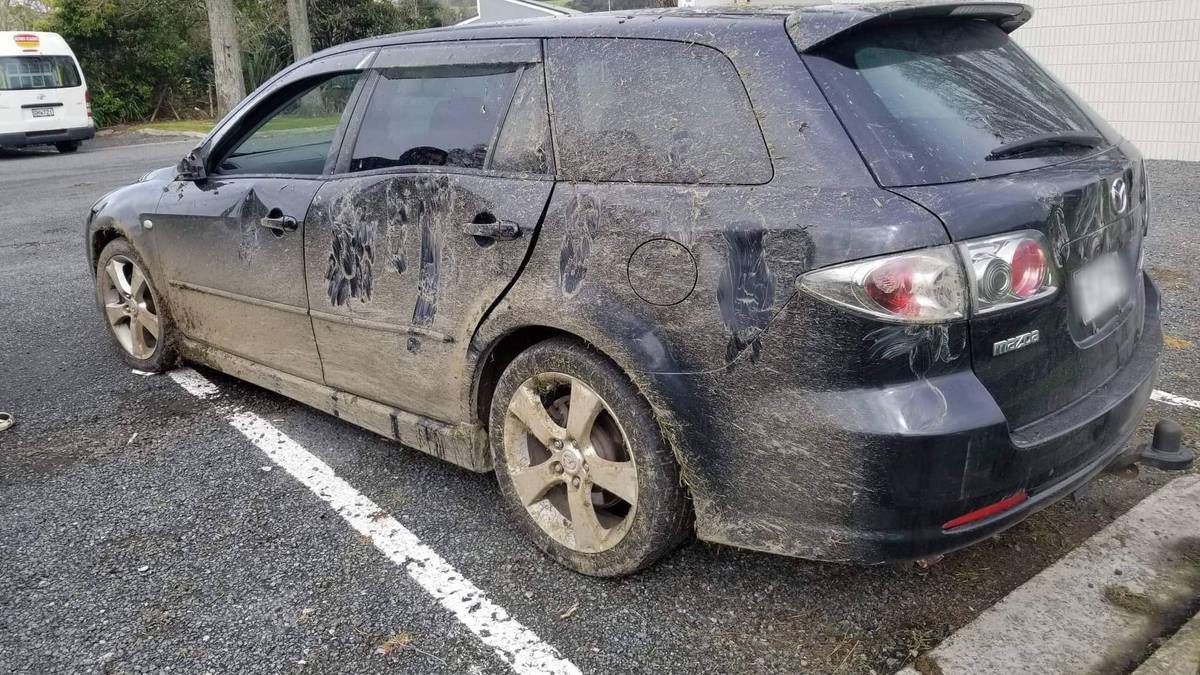 Northland car thefts up 50 per cent, according to insurance data