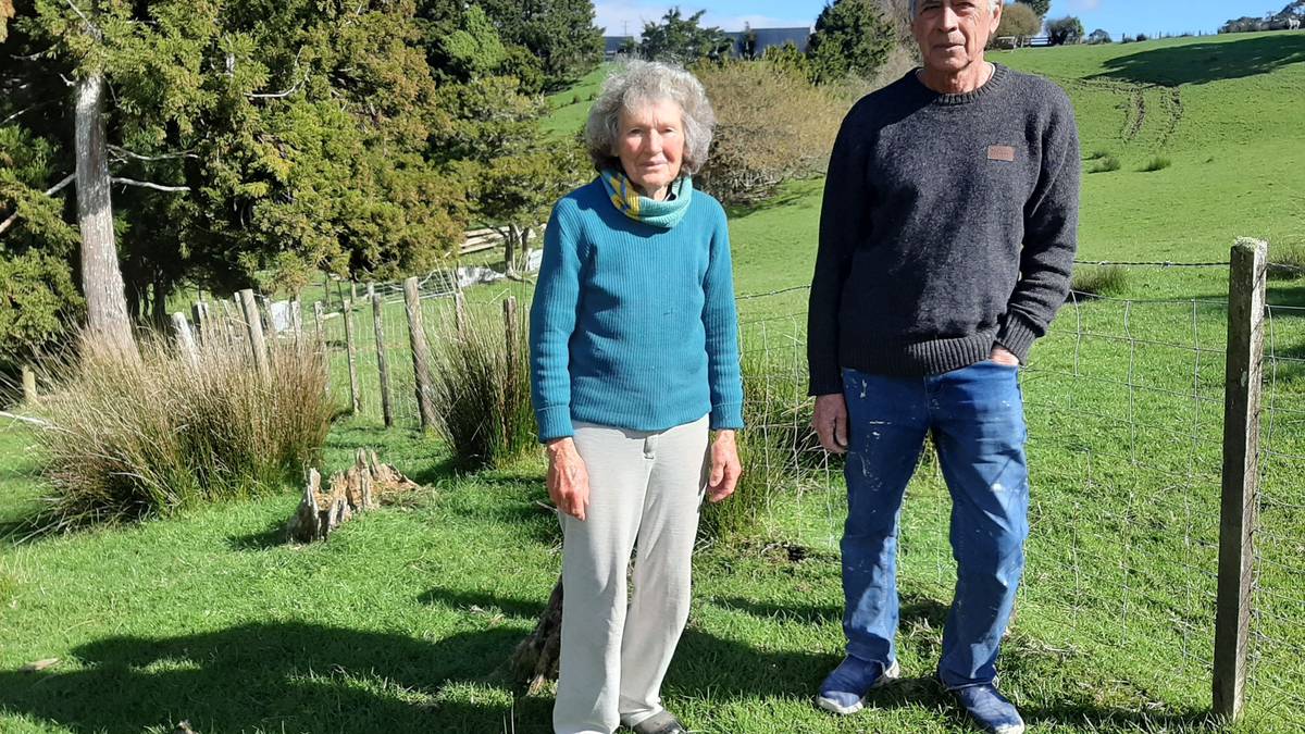 Northland lifestyle block owners devastated after roaming dogs kill dozens of livestock