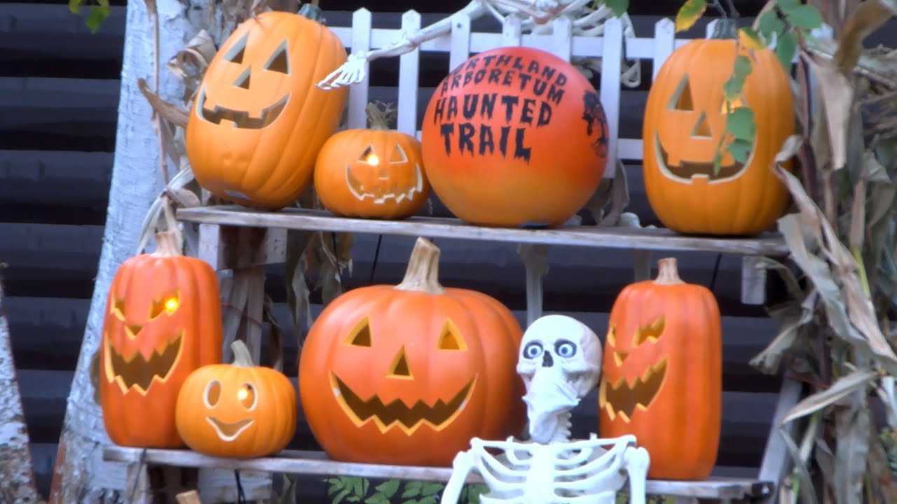 Northland Arboretum Ready to Thrill and Chill with Annual Haunted Trail