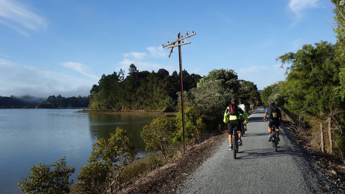 Council rethink revives hopes for full east-to-west Twin Coast Cycle Trail