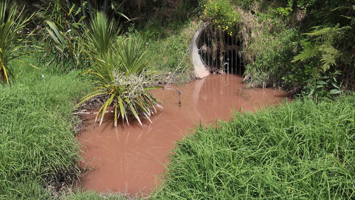 Construction firm fined for Kerikeri stream pollution