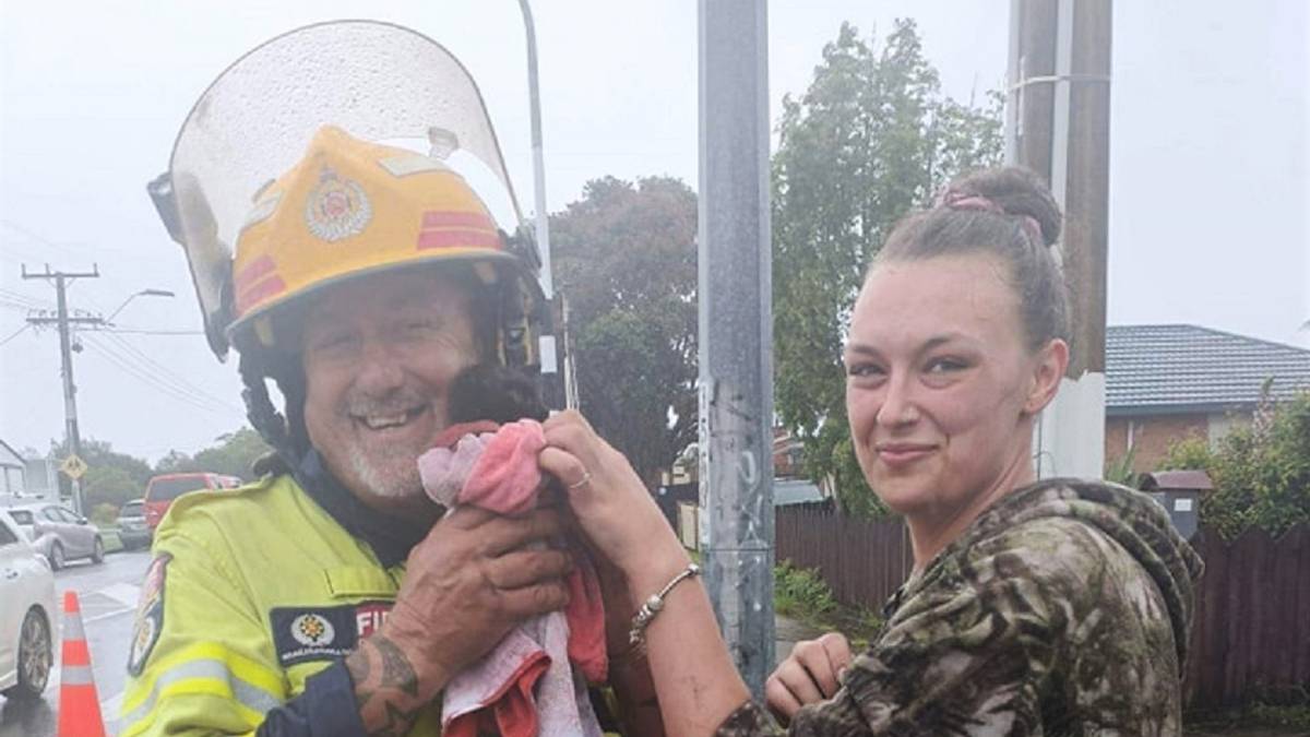 Kitten trapped in stormwater drain in Whangārei rescued by community volunteers