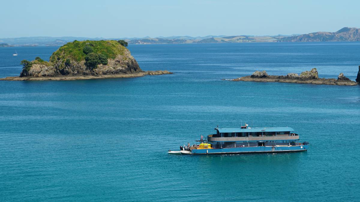 Northland tourist operators brace for busy season but many still face crippling staff shortages