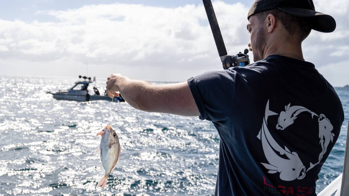Northland-based research should increase survival rates of fish caught and released