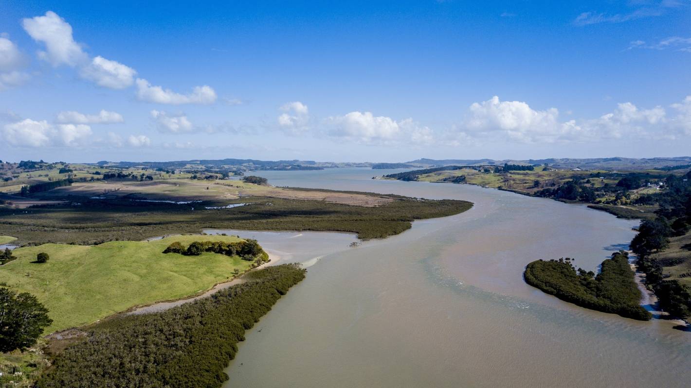 Kaipara Harbour restoration one of the largest projects of its kind in the world