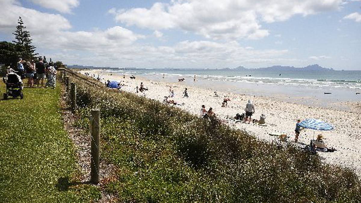 Activities for the whole family in Whangārei these summer holidays