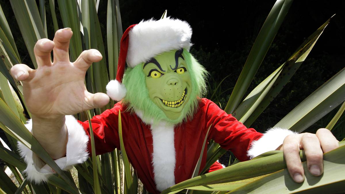 Police keen to return mail stolen by real-life Christmas Grinch