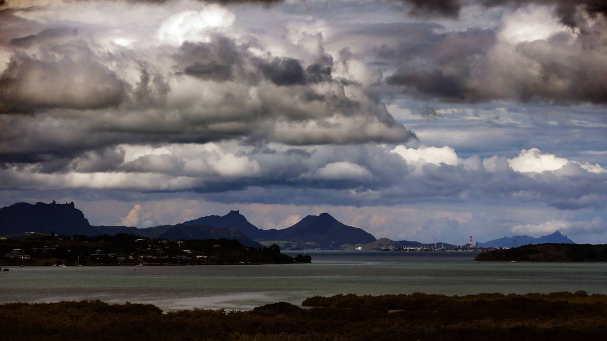 A wet weather guide to enjoying Tai Tokerau this Northland/Auckland Anniversary Weekend