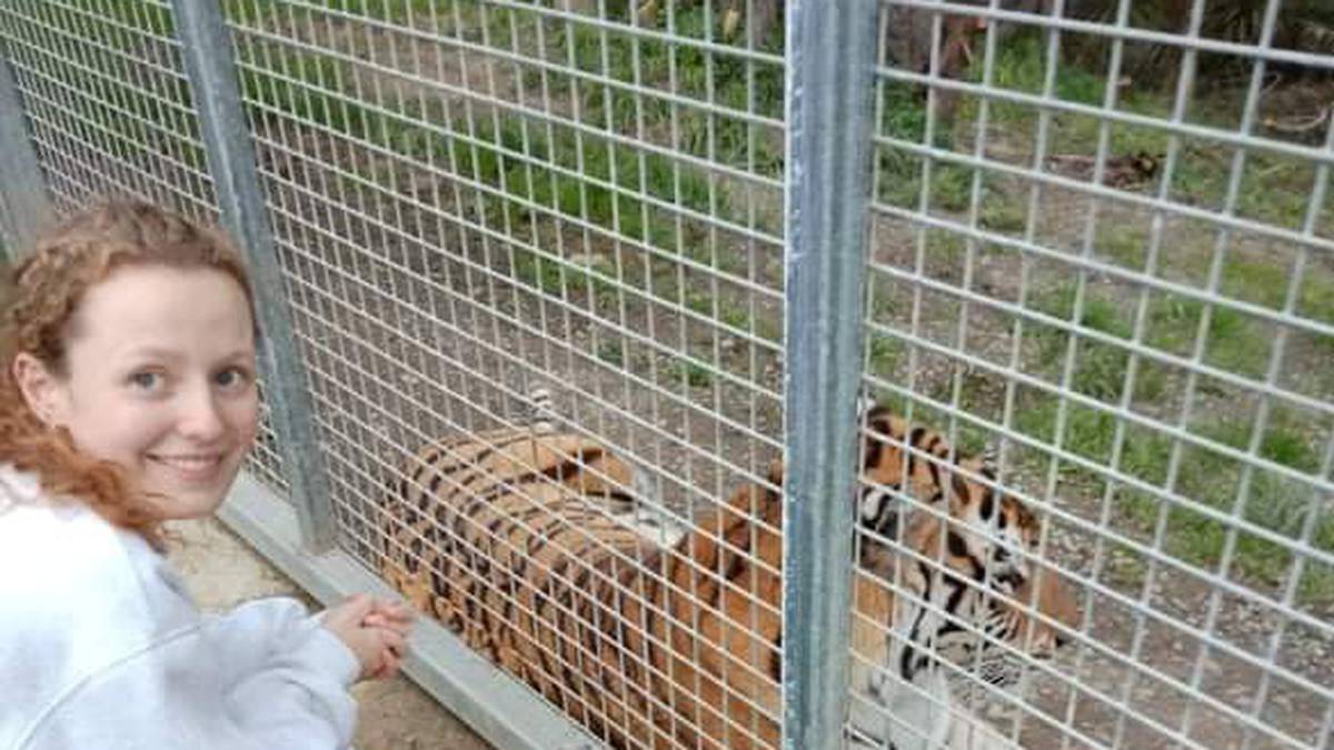 What’s it like to…work with big cats: Primary keeper at Kamo Wildlife Sanctuary’s ‘roarsome’ job