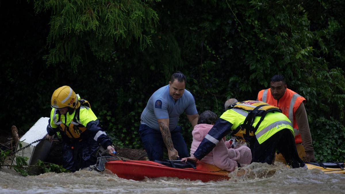 Whangārei will cope ‘reasonably well’ if an Auckland-style deluge hits, says mayor