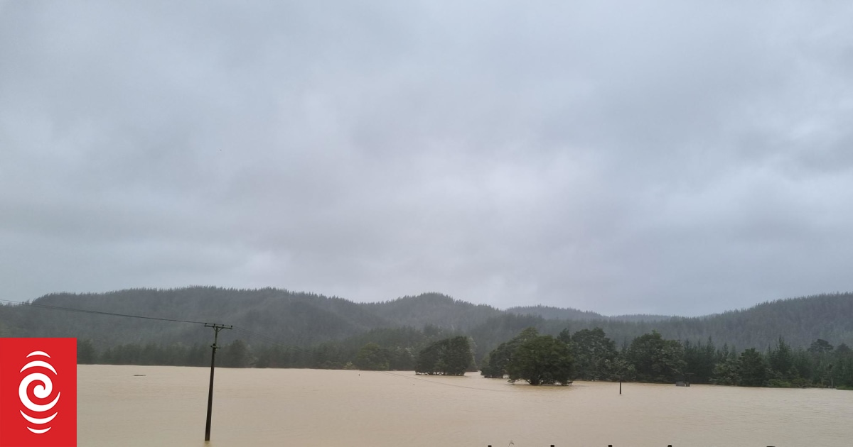 Northland farmers face big costs in wake of cyclone