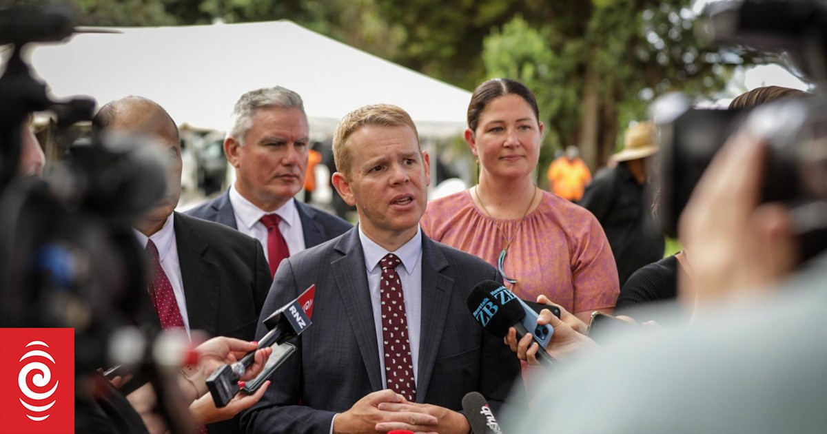 What the party leaders said at Waitangi