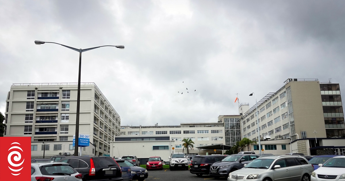 Understaffed Whangārei nurses requested army support at flu season’s peak