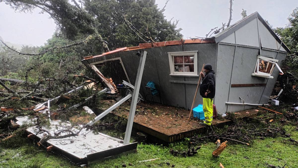 Cyclone Gabrielle: ‘I’m so lucky’: Whangārei woman escapes with minor injuries as tree crushes cabin