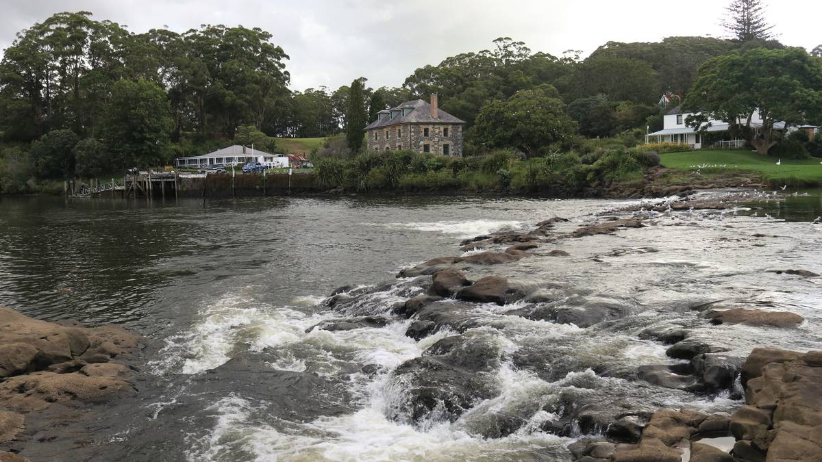 ‘I’m in awe of their selflessness and bravery’: Rescuers praised after near-tragedy at Kerikeri Basin