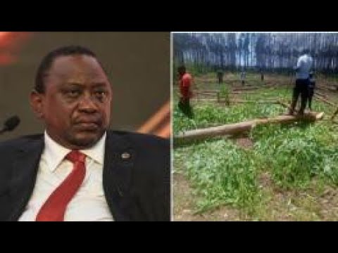 uhuru Kenyatta's speech at Northland farm