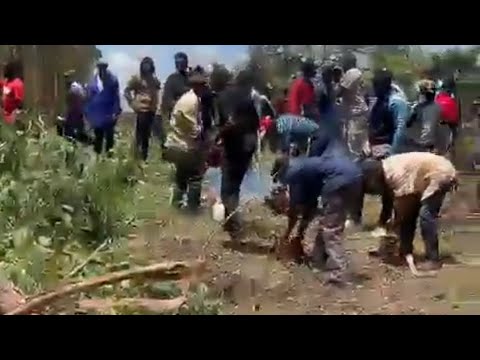 Breaking News: President Uhuru’s Northlands farm, invaded by youths cut down trees, set farm on fire