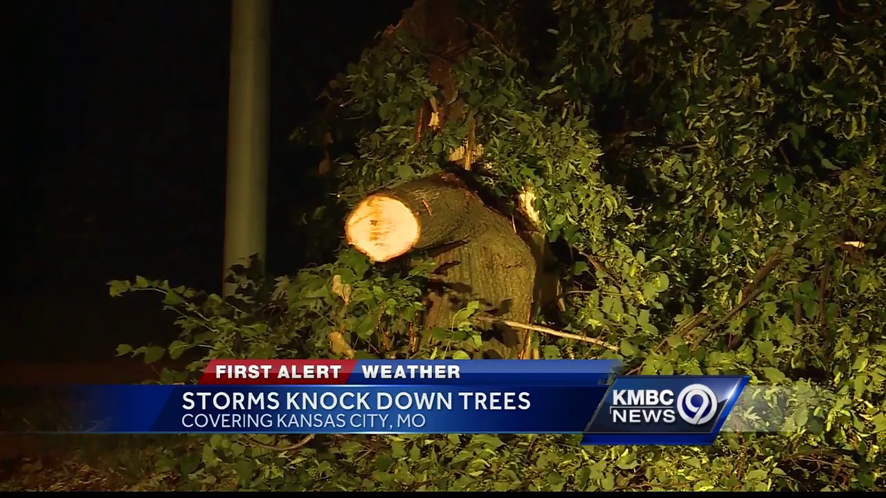 Storms Thursday down tree limbs in Northland
