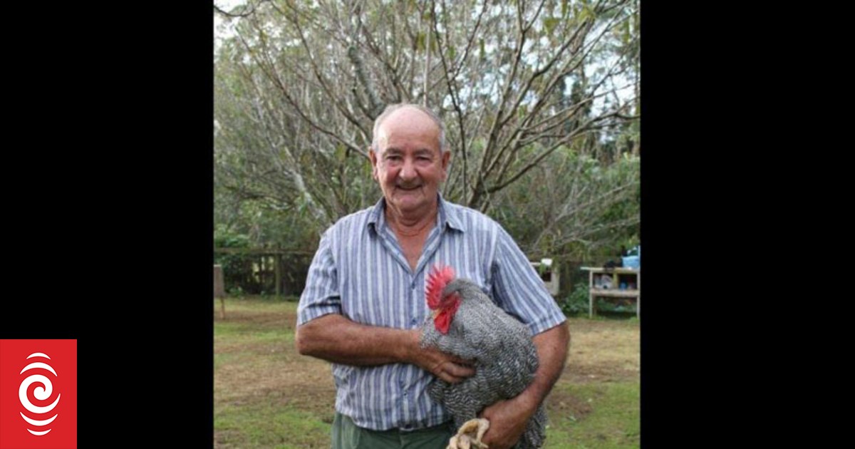 ‘Like having a baby every day’ – Remembering Ken the chicken champion