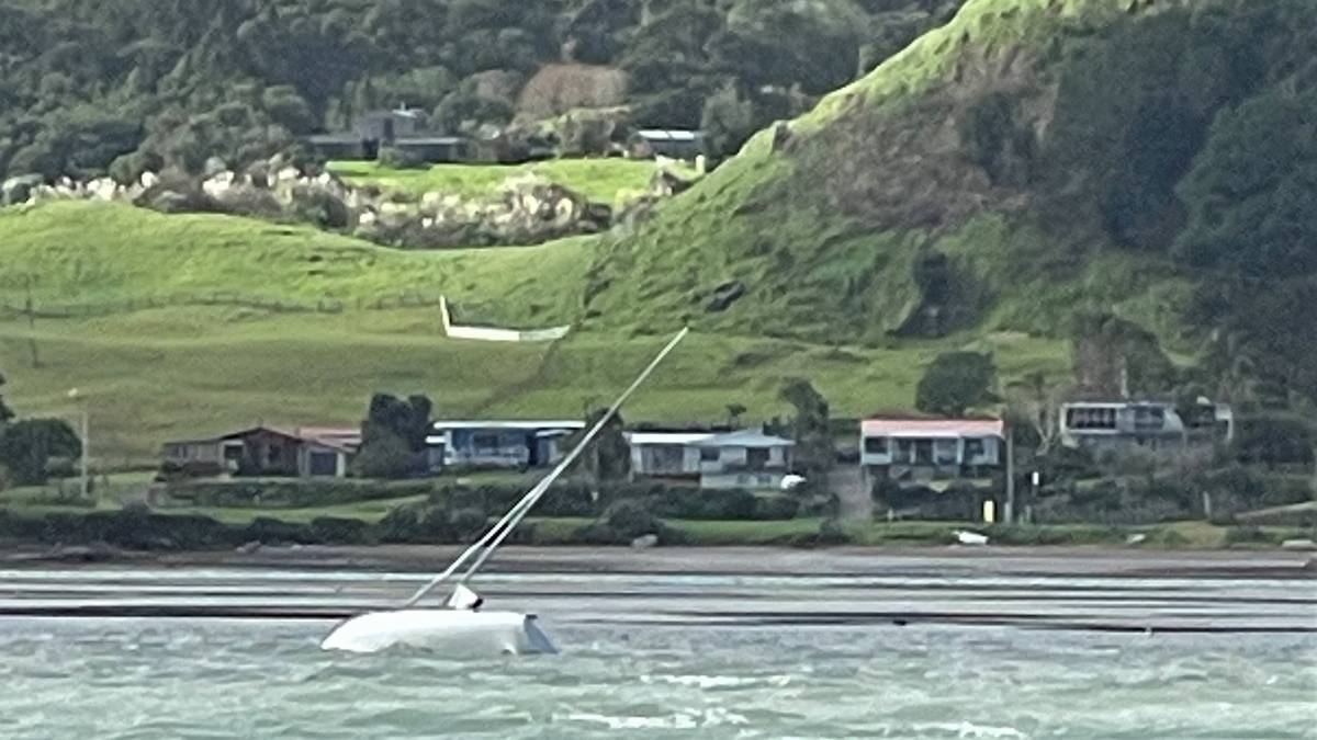 ‘Right place, right time’ as yachtie rescued in Whangārei Harbour
