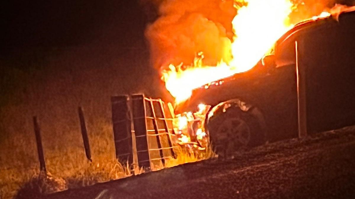 Wandering stock on Northland state highways prompts warning to farmers