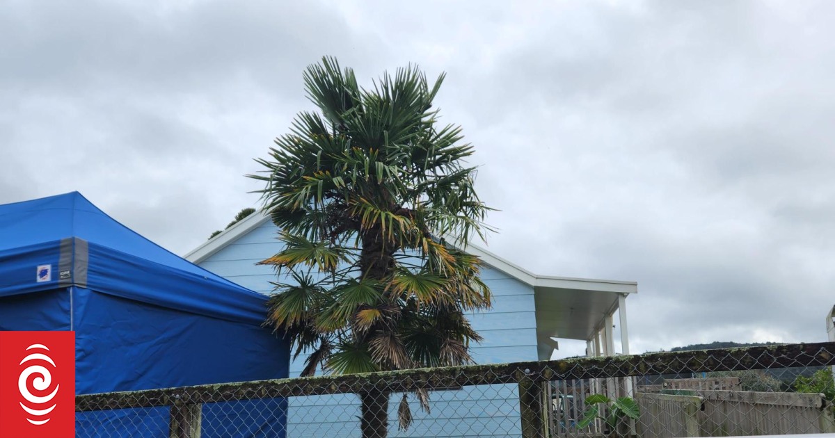 Linda Woods, woman killed in Kaikohe home invasion, remembered at funeral as a ‘special spirit’