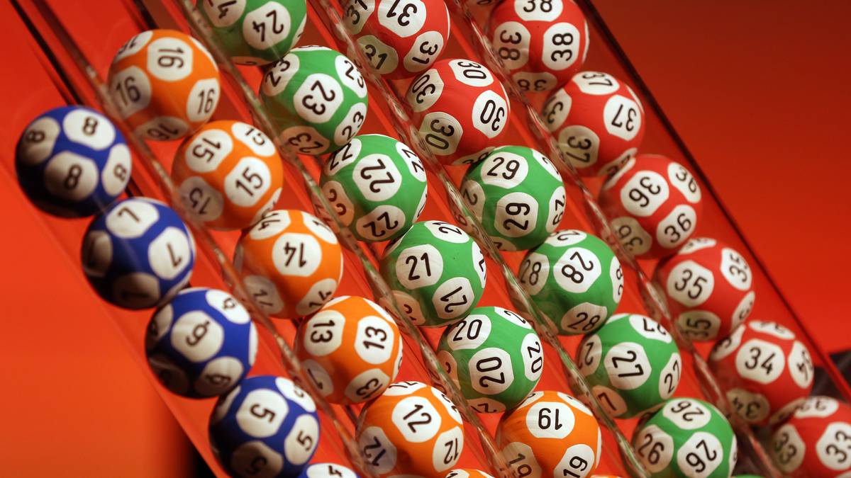 Northland news in brief: Lotto win, person shot in Far North and Caulerpa Rāhui