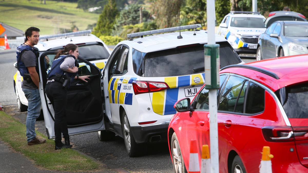 Mother and sons sentenced for roles in Whangārei shooting