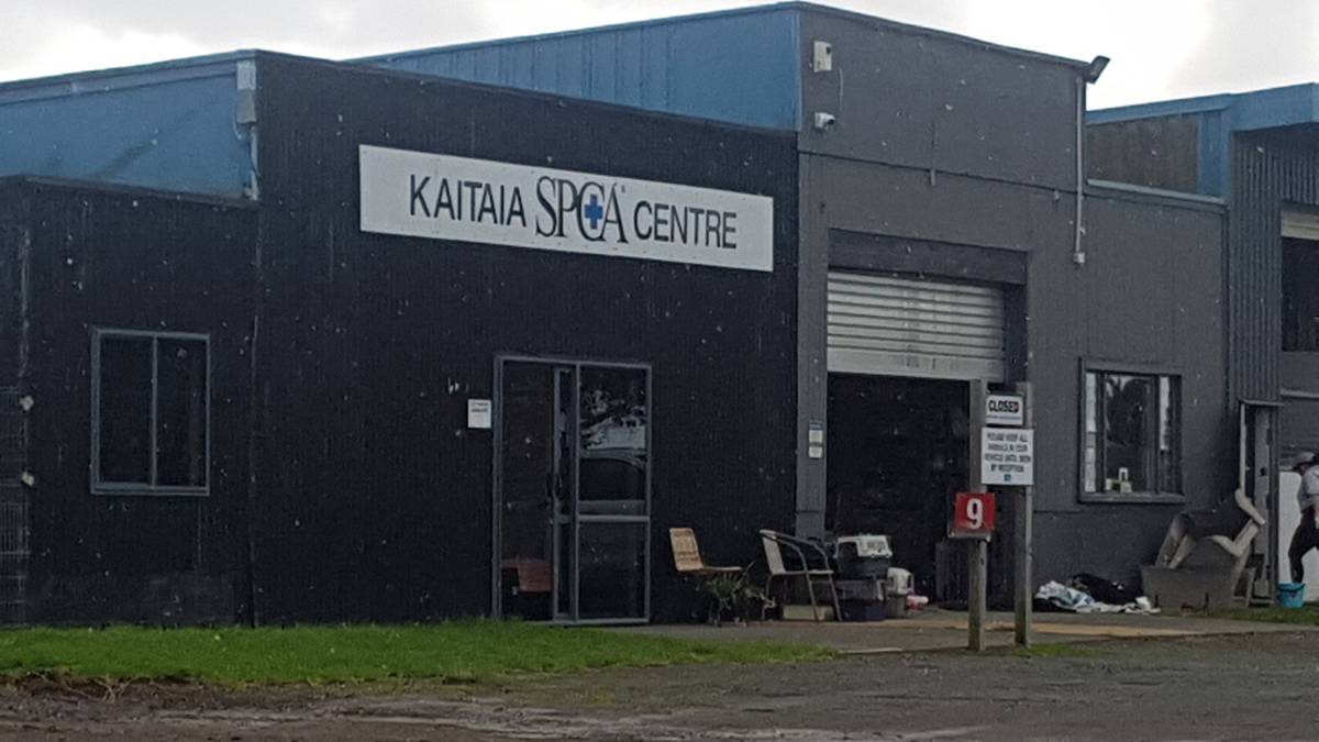 Kaitāia SCPA centre closes temporarily over health and safety issues
