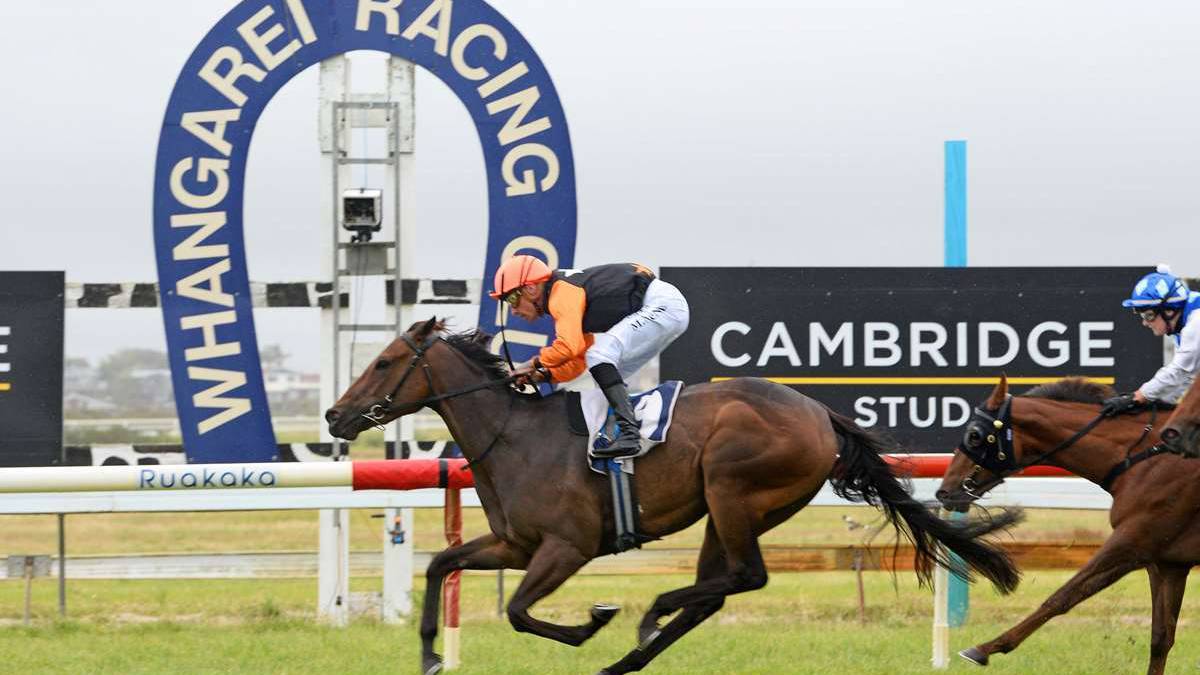 Full field at Ruakākā on Saturday for Celebrating Bream Bay Businesses race day