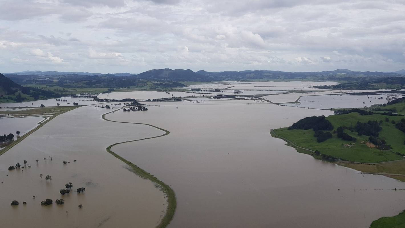 ‘I’m proud of our resilience’: Northland businesses bounce back from cyclone