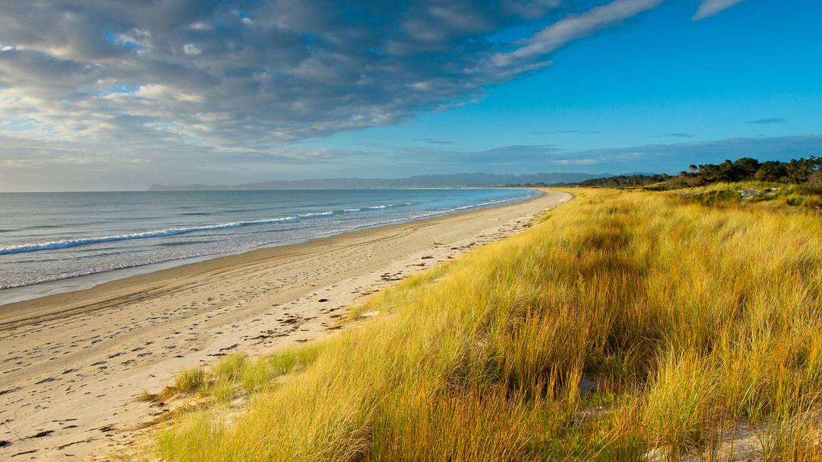 Comment: Northland’s economic wellbeing and environment wellbeing go hand-in-hand