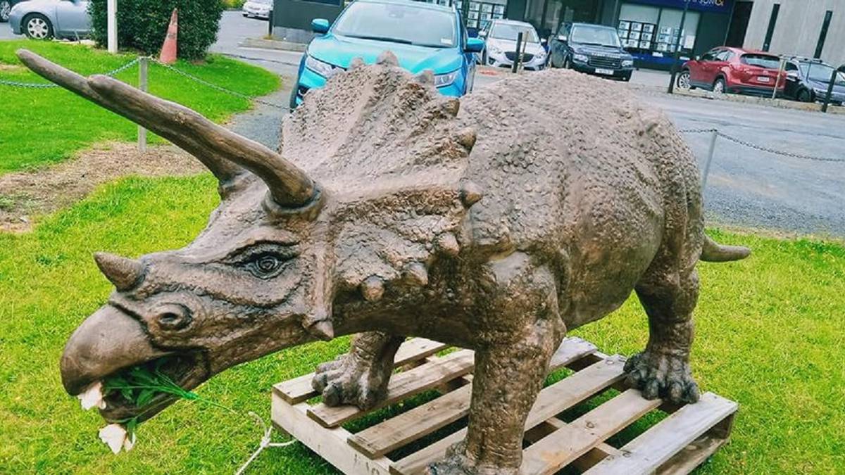 Far North man in court after police discover stolen dinosaur, gorilla